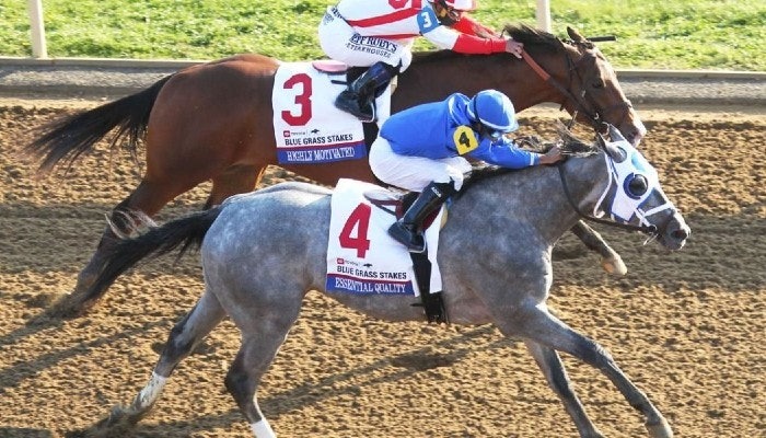 2021 Belmont Stakes Exacta, Trifecta and Superfecta Picks