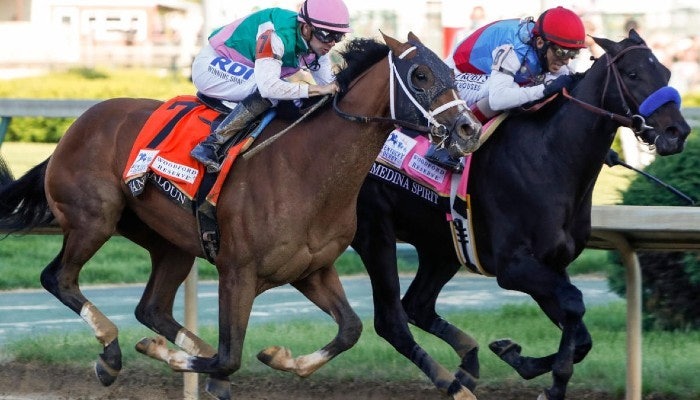 2021 haskell stakes picks