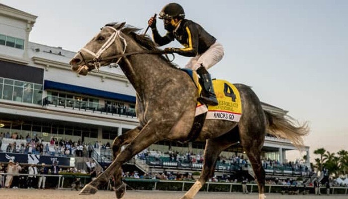 2022 Pegasus World Cup Odds and Picks