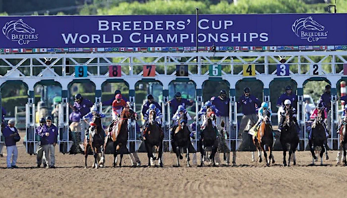 Breeders' Cup Betting Guide and Schedule