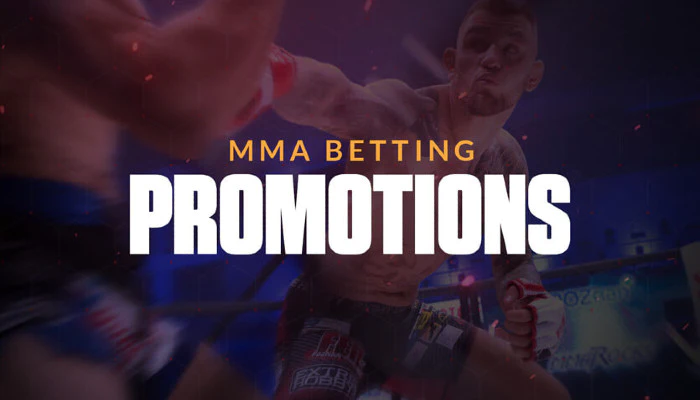 Most Popular MMA Promotions to Bet On