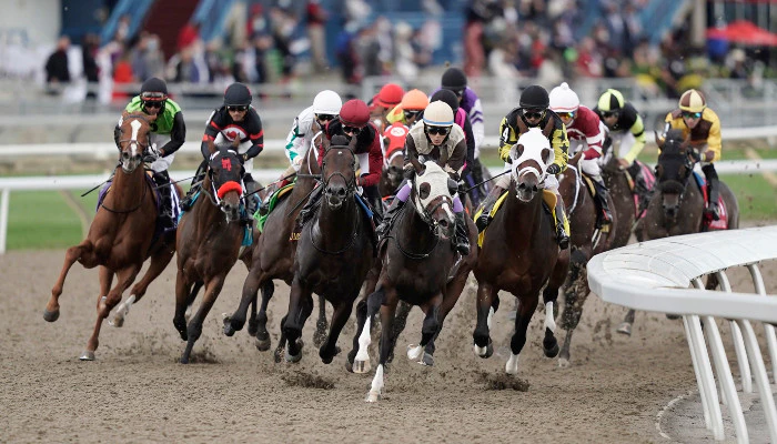 Top Horse Races in Canada to Bet On