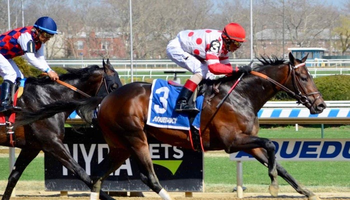 2022 cigar mile handicap picks