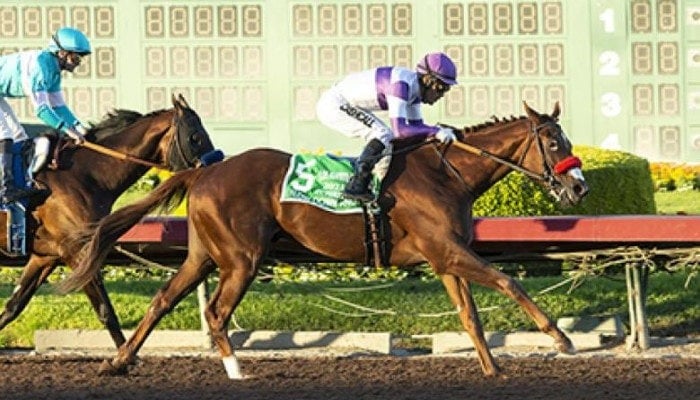 2022 los alamitos futurity picks