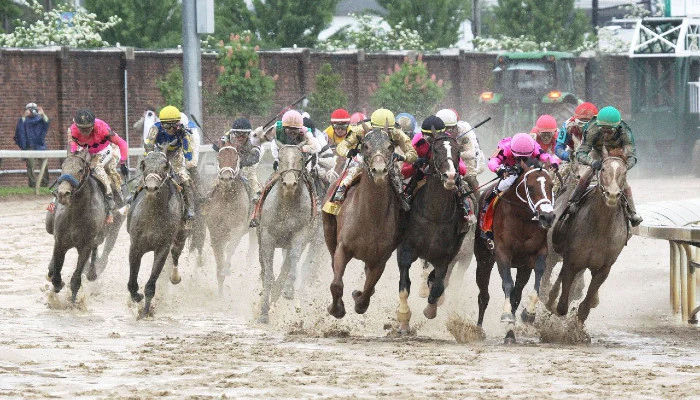 Why Track Conditions Are Important in Horse Racing Betting