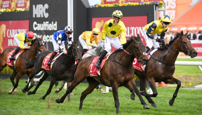 Caulfield Cup Betting Guide