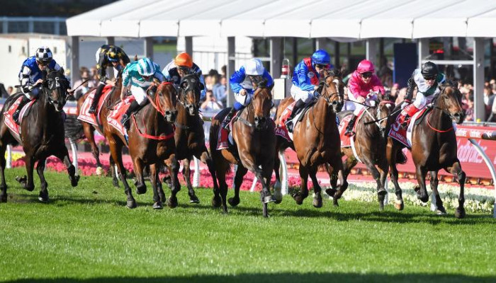 Cox Plate Betting Guide