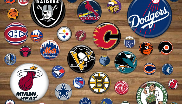 Should You Bet on Your Favorite Sports Team