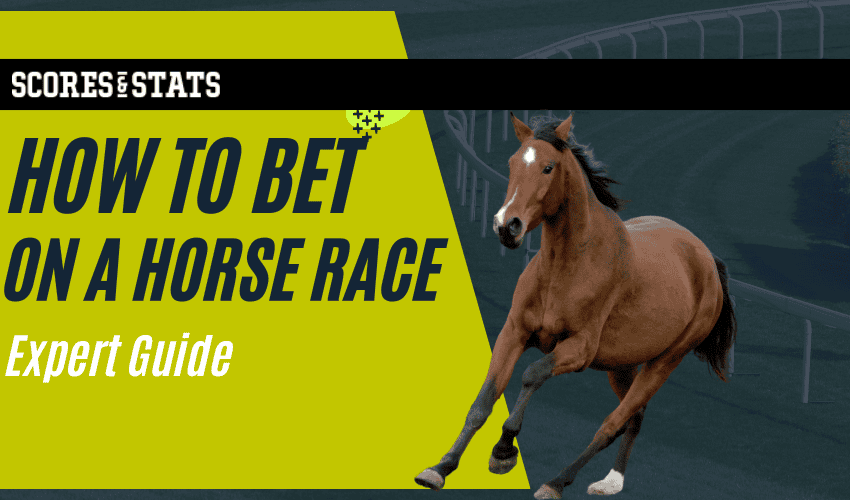 How to Bet on a Horse Race - Expert Guide