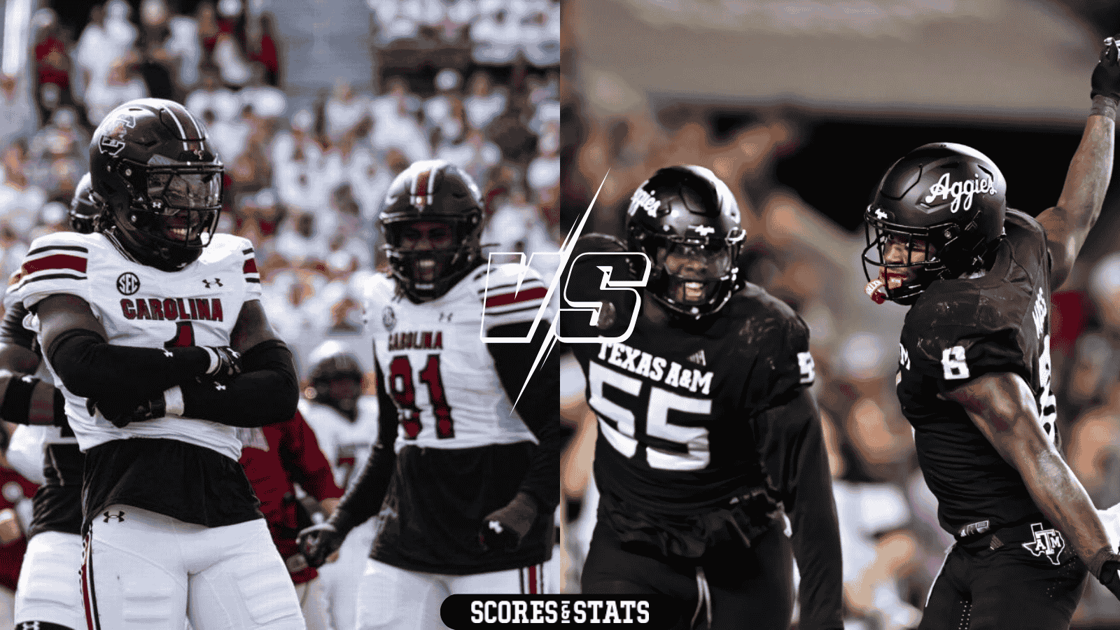 South Carolina Gamecocks vs Texas A&m Aggies