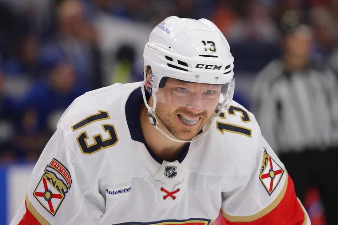 Florida Panthers vs Nashville Predators Picks and Predictions November 7th 2024