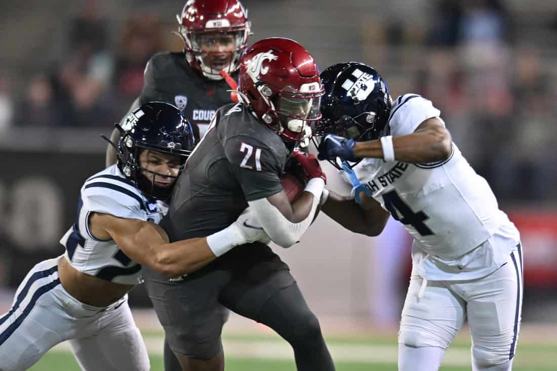 New Mexico Lobos vs Washington State Cougars Picks and Predictions November 16th 2024