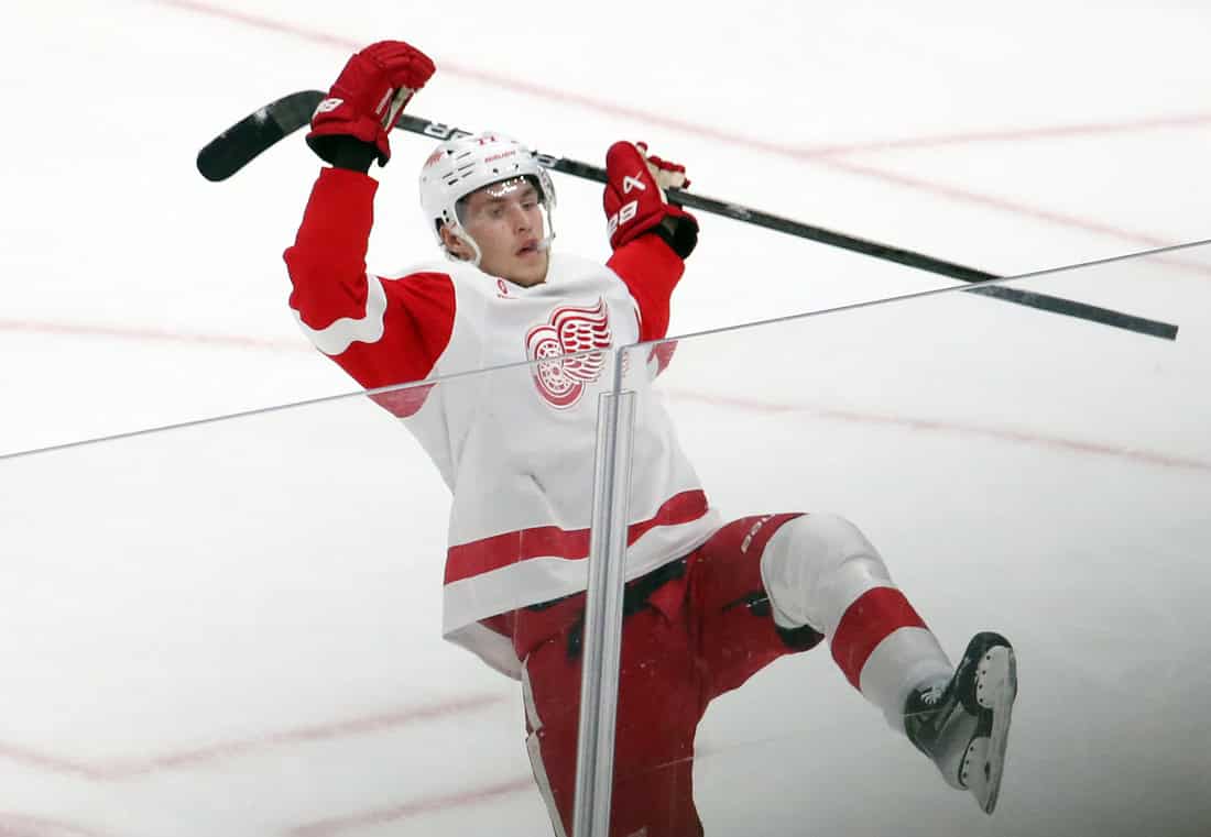 Red Wings Player Sliding