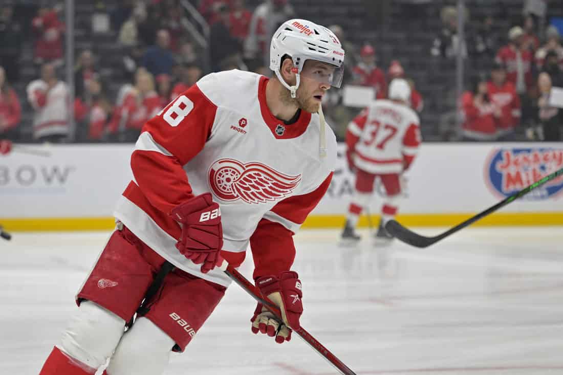 San Jose Sharks vs Detroit Red Wings Picks and Predictions November 18th 2024