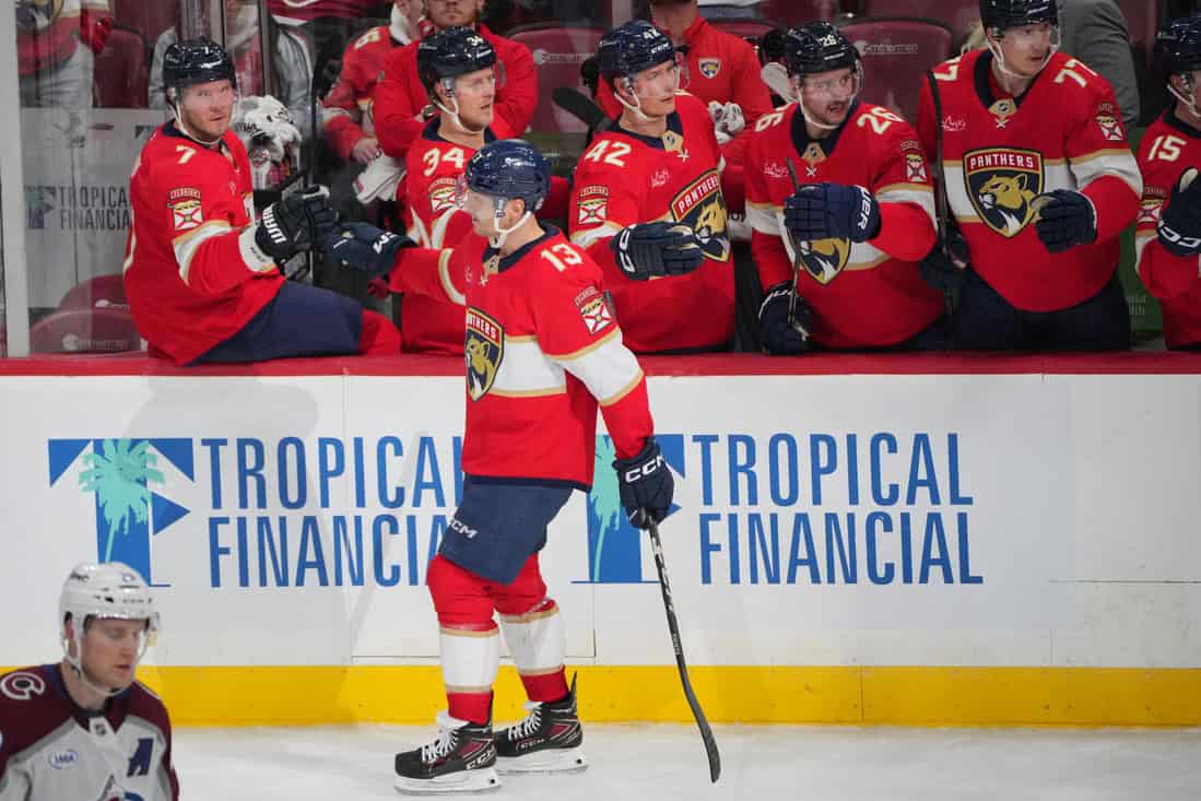 Florida Panthers vs Washington Capitals Picks and Predictions November 25th 2024