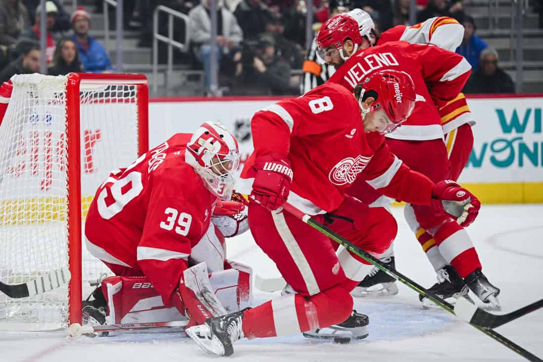 Detroit Red Wings vs New Jersey Devils Picks and Predictions November 29th 2024