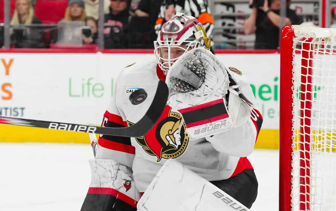 Seattle Kraken vs Ottawa Senators Picks and Predictions December 17th 2024