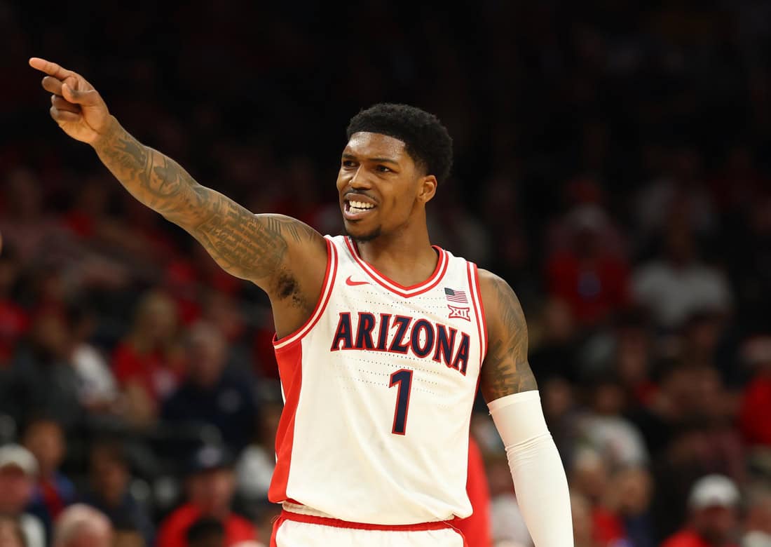 Arizona Wildcats vs Central Michigan Chippewas Picks and Predictions December 21st 2024