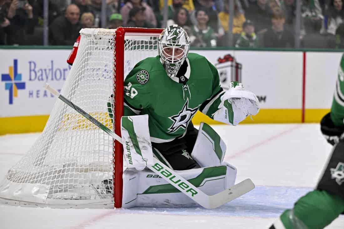 Stars goaltender