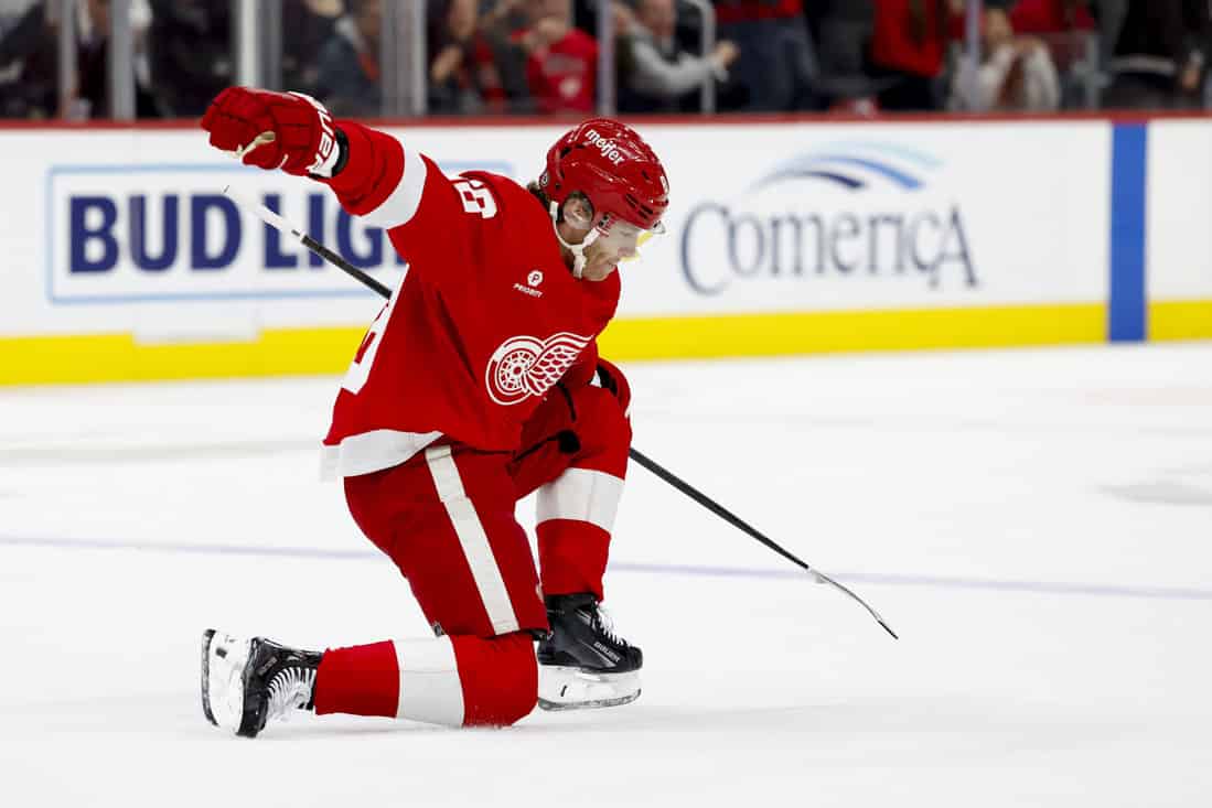 Red Wings player celebrating