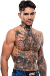 ANDRE FILI