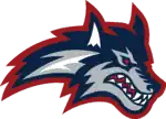 STONY BROOK Logo